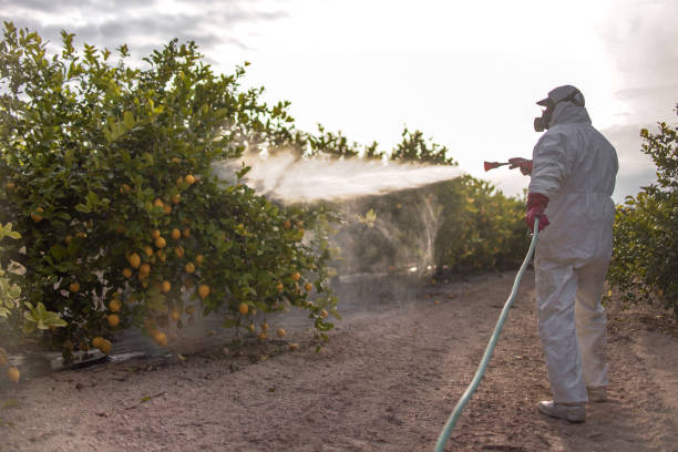 Pest Control for Warehouses in Covington, WA